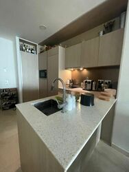 Duo Residences (D7), Apartment #466761391